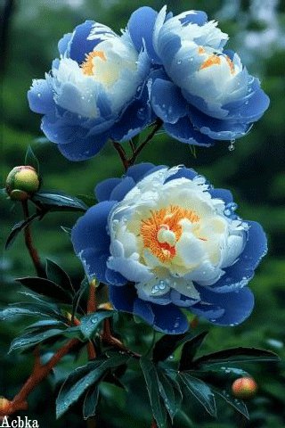 file_97224628