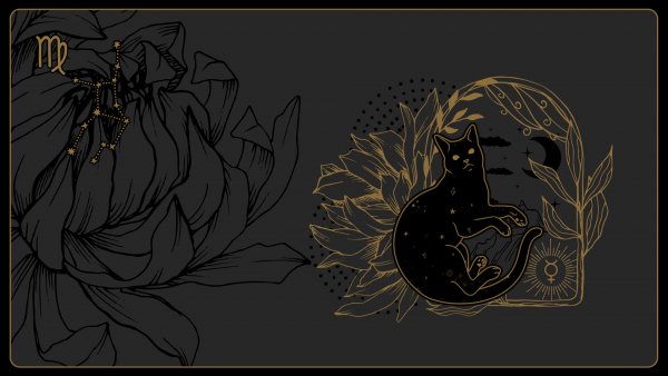 VIRGO