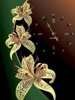 Flash clock20(162)