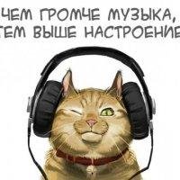 Прикольные Песни - DJ Slon - Финская полька (Русская версия)
