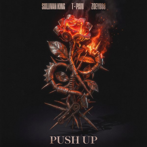 Sullivan King, T-Pain &amp;amp; Zoey808 - Push Up