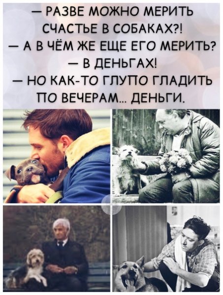 Верные слова!