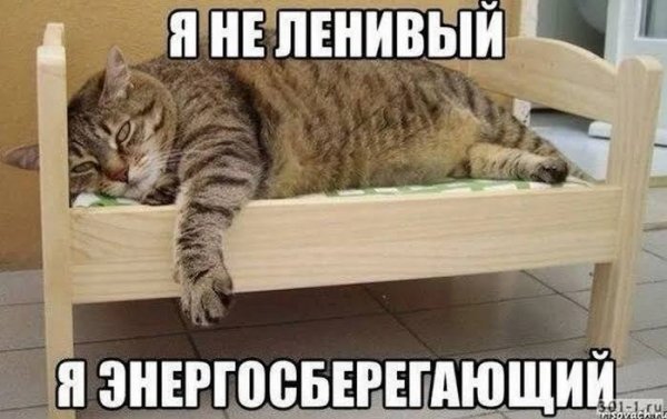 picture_420762665