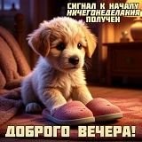 IMG 20260916 190940 720
