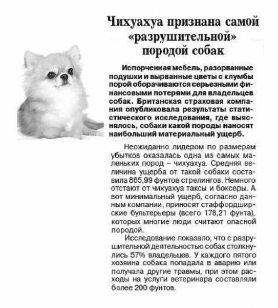Опаньки!