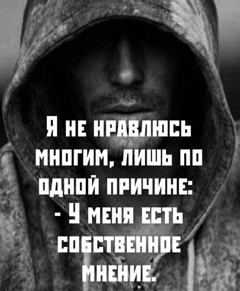 picture_378066230