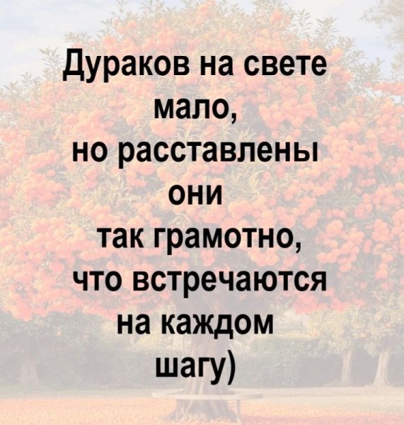 Дураки