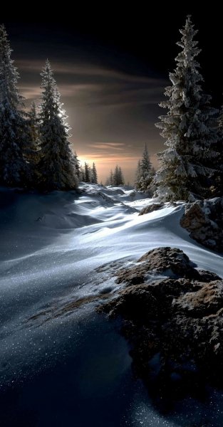 Арт Природа