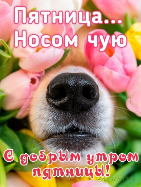 Пятница...