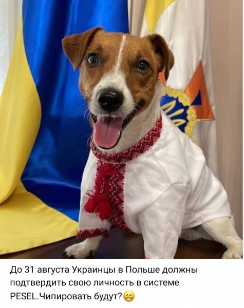 IMG 20260411 194712
