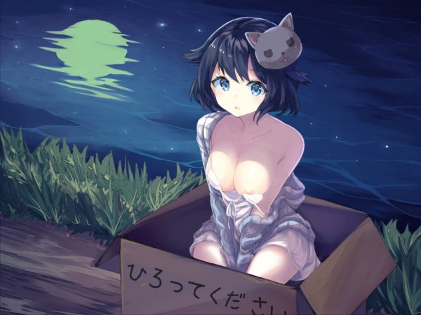 original drawn by haishiki 58e269ceba35b0aaa6d3df15cc7d558