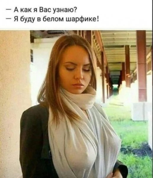 9-WHOh-Q sM