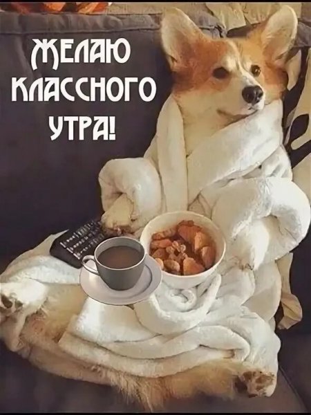 Всем вам!