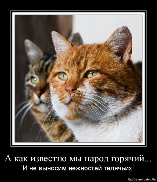 Мы народ горячий...