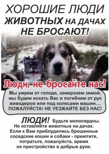 Люди, не бросайте нас!