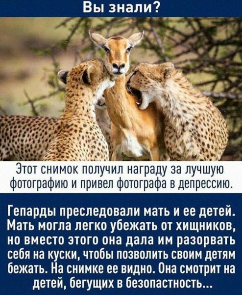 LihWFuP3xnc