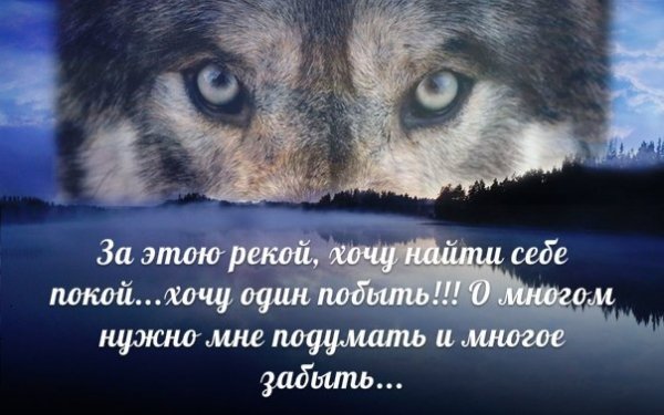 Я хочу