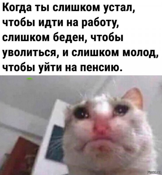 Хех)
