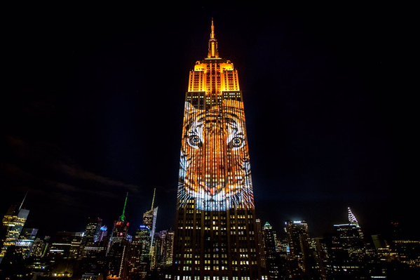 &amp;quot;Racing Extinction&amp;quot;