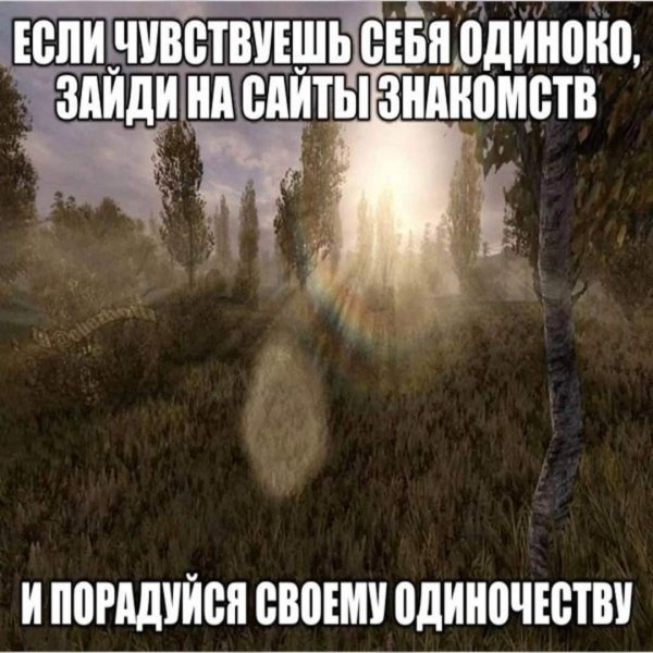 picture_389213050