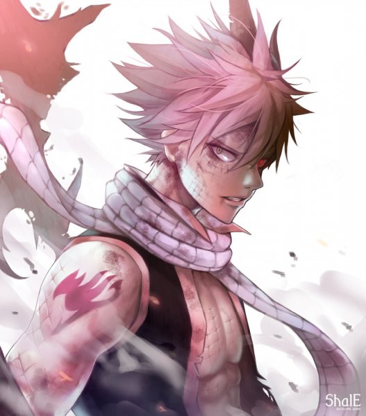 Fairy Tail -704