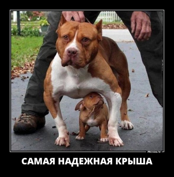 Крыша