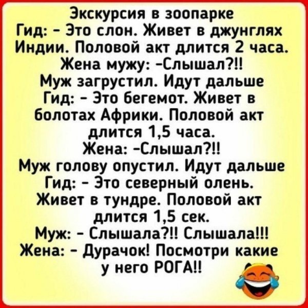 Какие у него рога!!