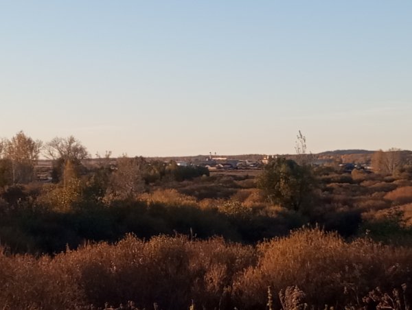 picture_420506790