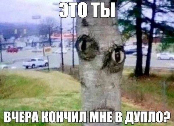Приколы-дупло-9505681