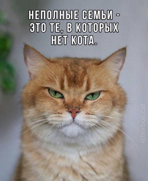 КотЭ)