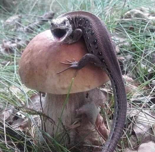 Не отдам!!! Моё...