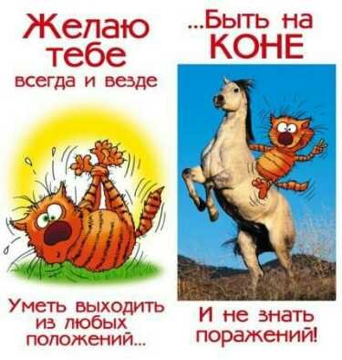 быть на коне и не знать поражений