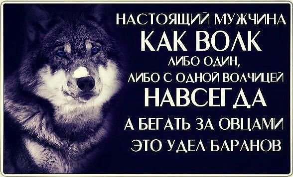 y6QjAmJze9U