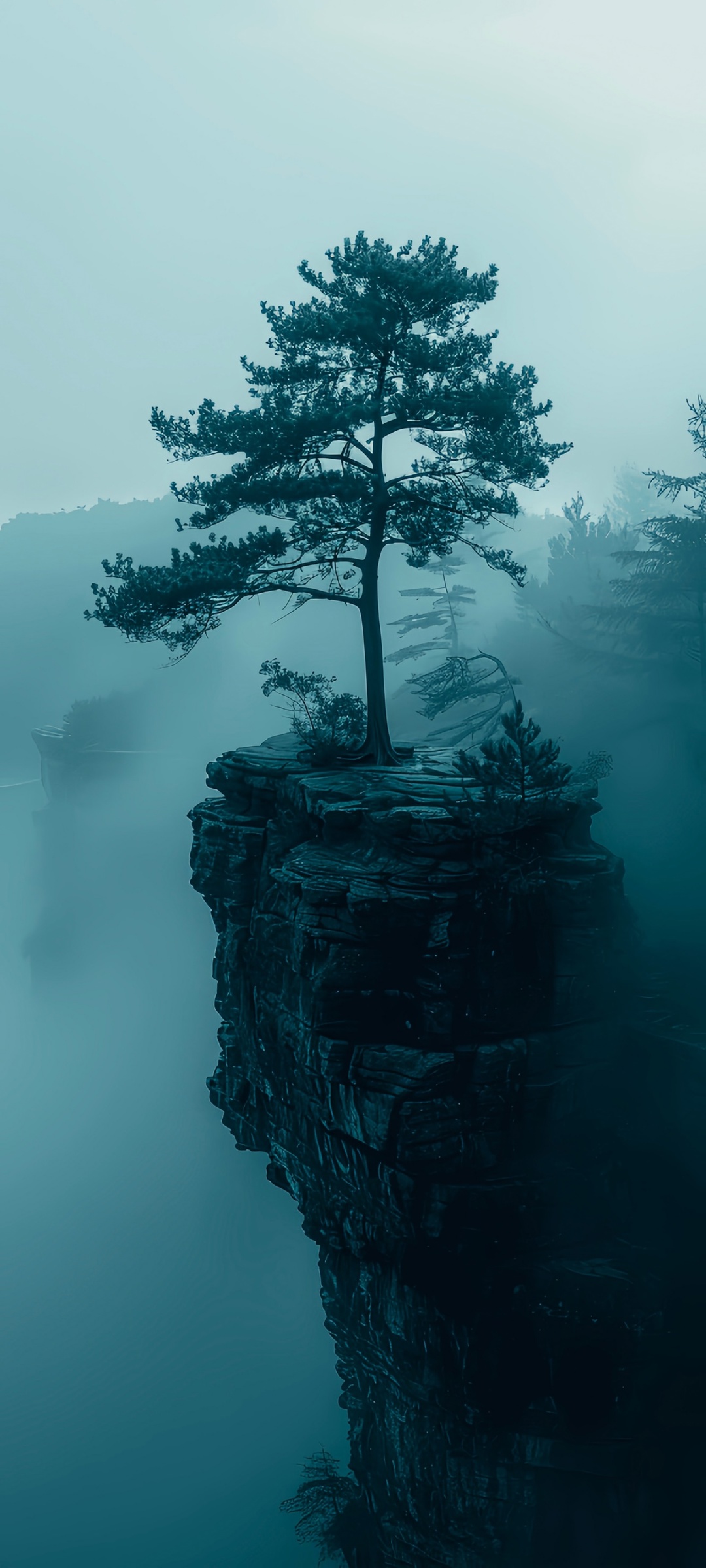 file_99248002