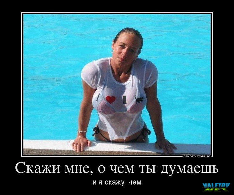 valetov net imgid 126972