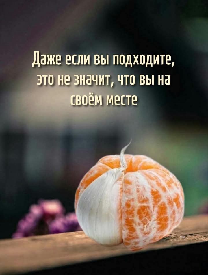 FB IMG 1765811743830