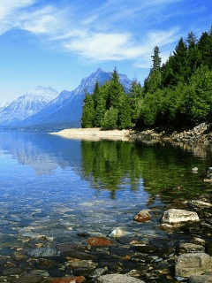 file_51800880