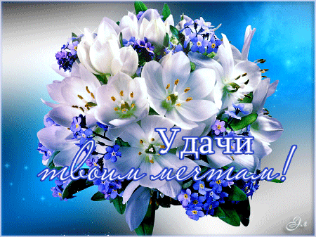 file_55051314