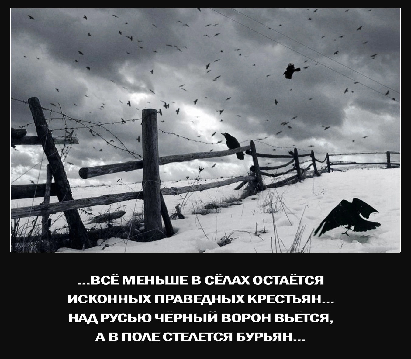 file_101493487