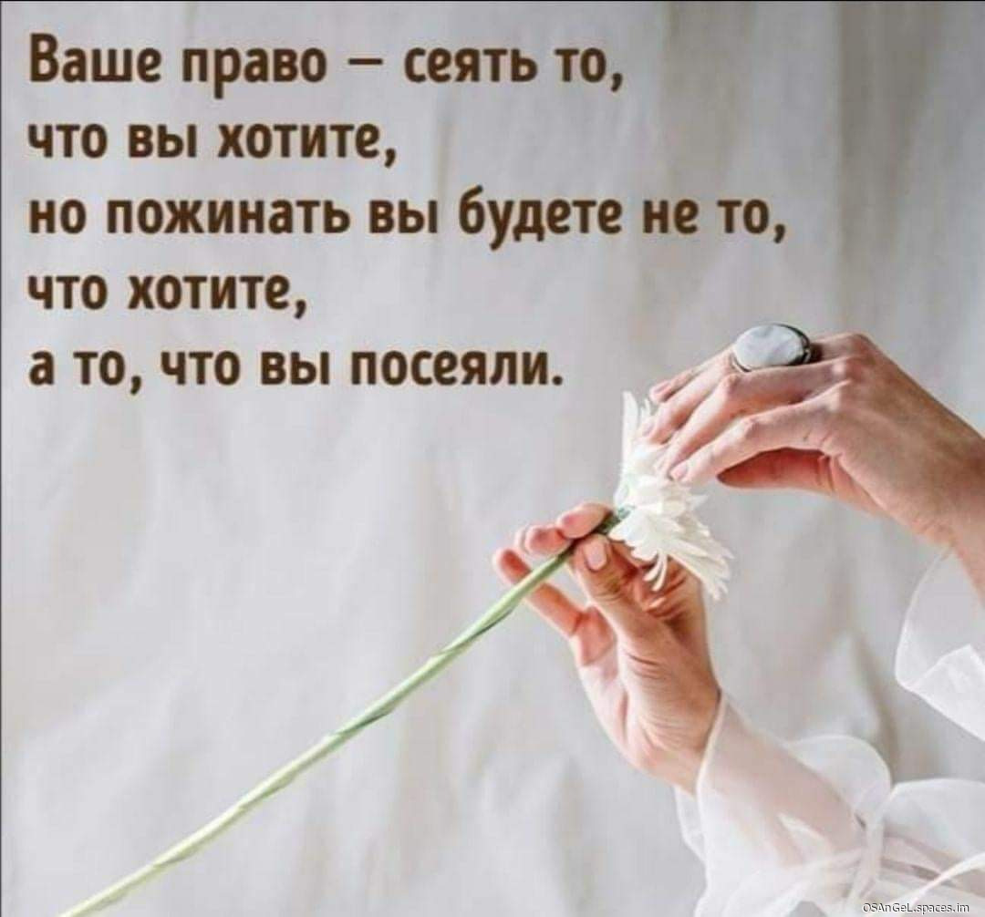 FB IMG 1704302329429-