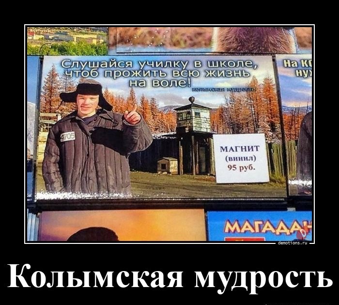 Колымская мудрость