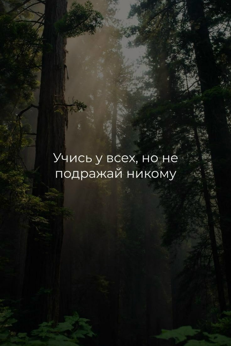 AQYezCN1voXZ ZnRecsBsGudr7DJ3Tn9fh