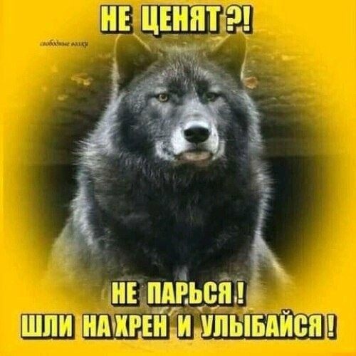 D81823f417bd853109a1dfffb0032c7e