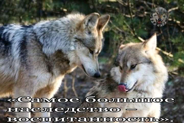 FB IMG 16375336027820452