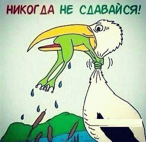 Даже так )))