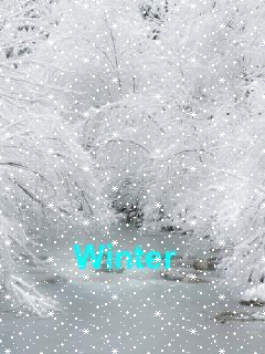 file_53509763