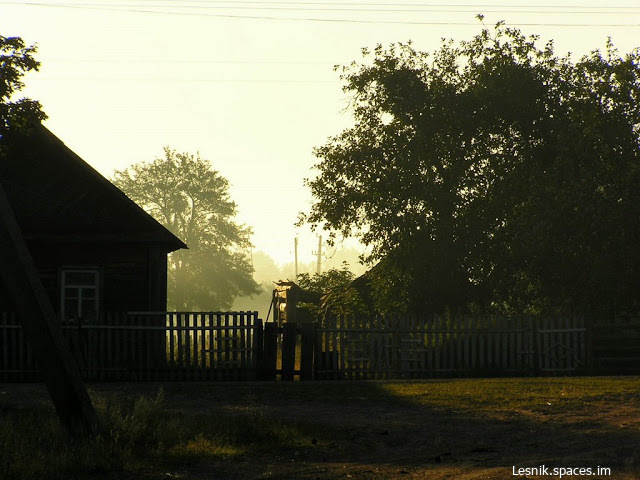 Фото Лесника