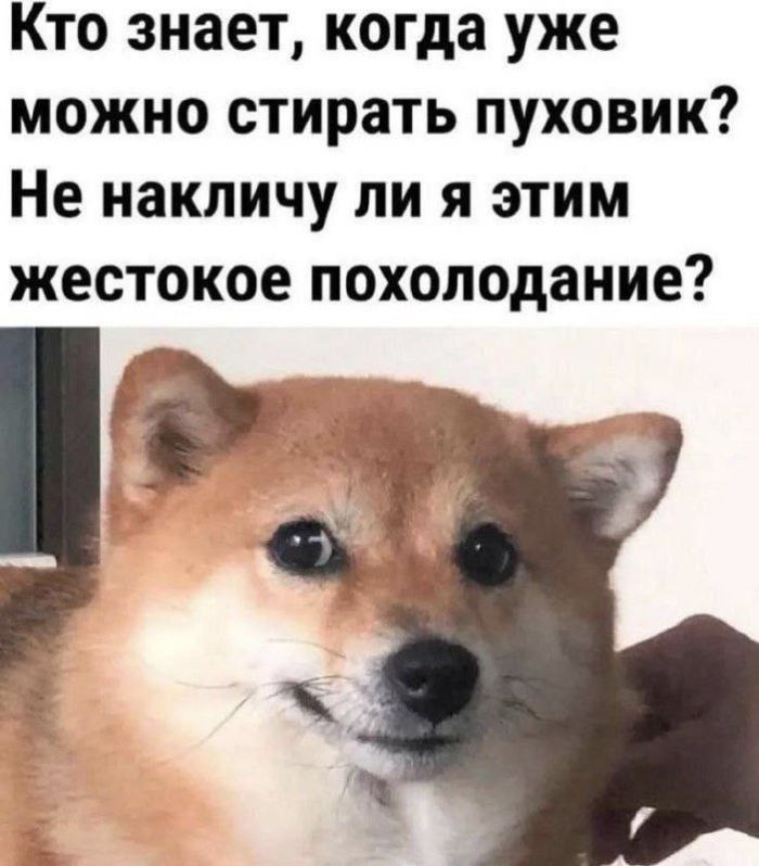 fbea953 memy-novye-svezhie-smeshnye-16