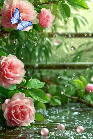 file_99277235