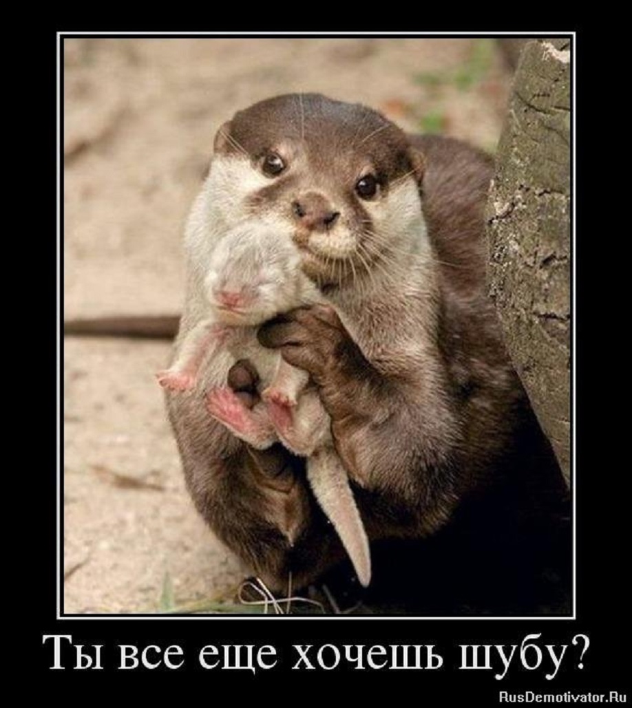 Ты всё ещё хочешь шубу?